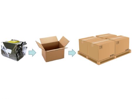 Carton 包裝